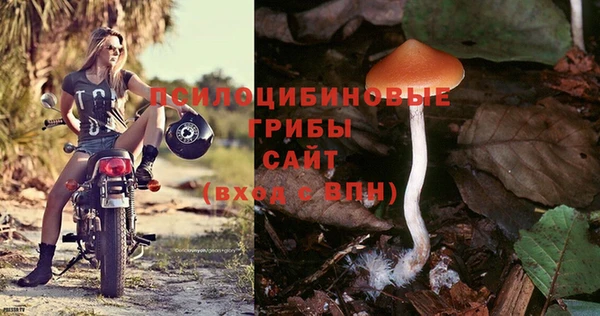 молекула духа Абдулино