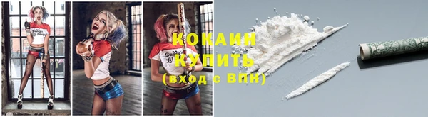 альфа пвп Снежногорск