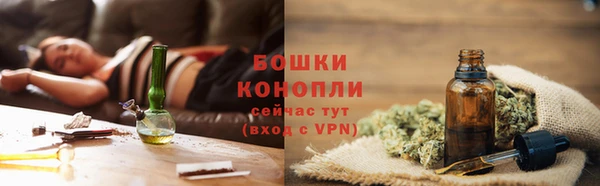 шишки Слюдянка