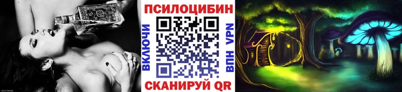 Псилоцибиновые грибы Cubensis  Томилино 